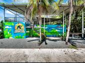 established commercial opportunity with