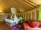 established resort 10 yurts