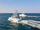 profitable sportfishing business tamarindo