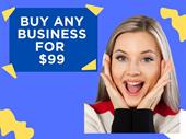 lucrative dropshipping store website