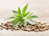 established seedsbank eastern europe