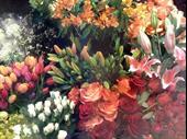 flower shop easy operation