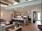 premier home staging business