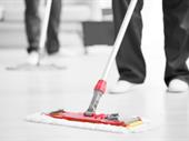 established domestic commercial cleaning