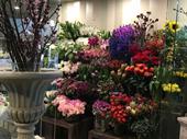 long established loved florist