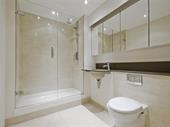 well-established bathroom kitchen renovation