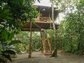 tree houses hotel the