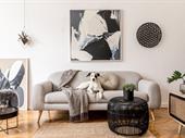 successful retail furniture store