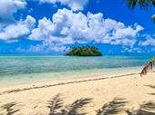 highly profitable business rarotonga