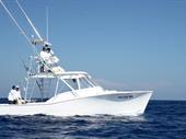 reputable sportfishing business flamingo