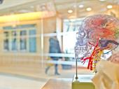 profitable neurology medical practice