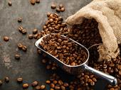 distributor of coffee beans