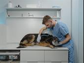 vet hospital 2nd most