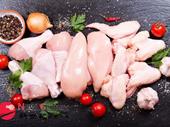 poultry store dandenong for