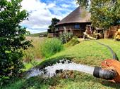 cattle game farm for
