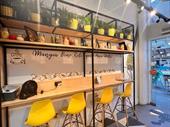 established pasta pizza bar