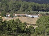 holiday farm holiday houses