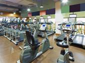 the leading health club
