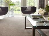 freehold well established flooring
