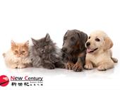 5 days pet grooming