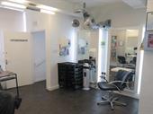 professional hair salon business
