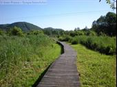 campsite st romain de