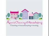 well established cleaning business