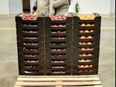 wholesale fresh fruit vegetables