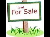 vast spacious vacant land