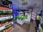under offer boutique aquarium