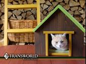 successful pet boarding facility