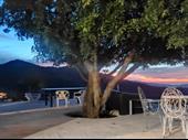 scenic development for b&