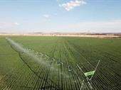 irrigation grazing farm free
