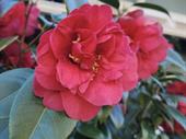 east bay landscape company