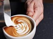 cafe huge potential growth