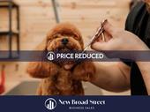 established premium dog grooming