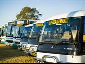 school bus contracts young