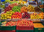 profitable fruit veggie wholesaler
