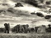 established game reserve north-west