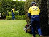outdoors business mowing gardening