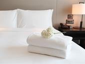 established 11 rooms guesthouse