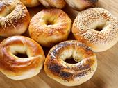niche gourmet bagel cafe