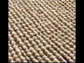 carpet cleaning business