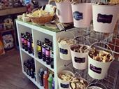 established dog grooming salon
