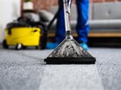 thriving cleaning company joshua