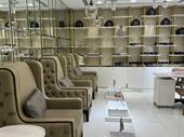 established ladies salon dubai