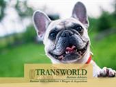 established dog grooming business
