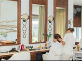established hair salon michigan