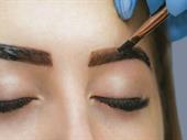 premier eyebrow lash salon