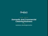 well-established cleaning services business
